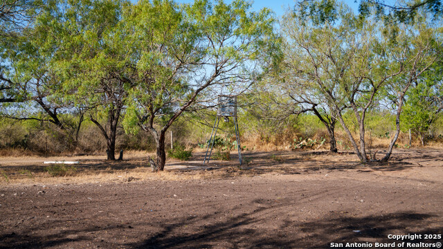 Listing photo id 41 for 6505 Fm 541