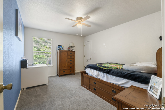 Image 24 of 37 For 129 Kipper  