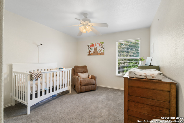 Image 26 of 37 For 129 Kipper  