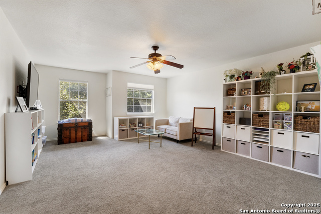 Image 4 of 37 For 129 Kipper  