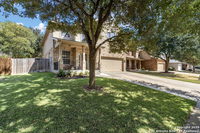 Image 7 of 37 For 129 Kipper  