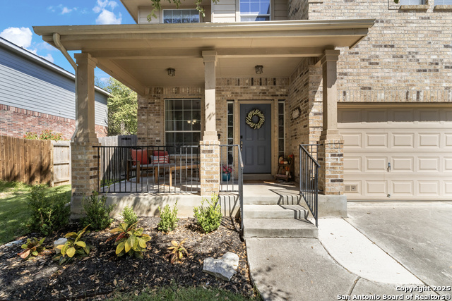 Image 8 of 37 For 129 Kipper  