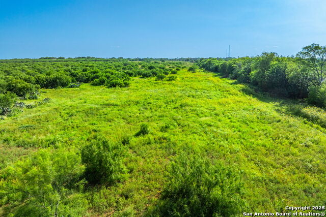 Listing photo id 9 for 3911 County Road 1000