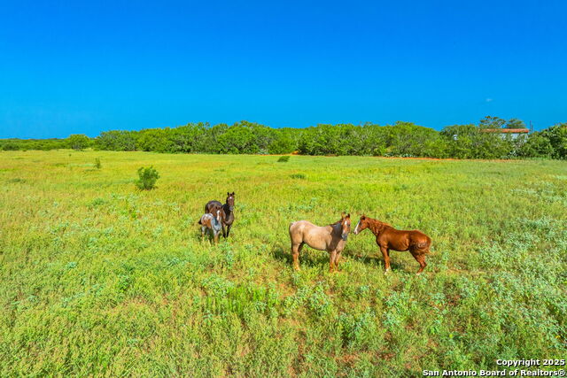 Listing photo id 12 for 3911 County Road 1000