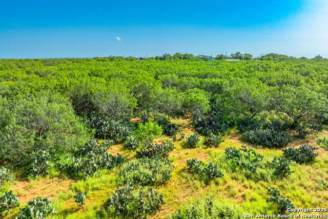 Listing photo id 1 for 3911 County Road 1000