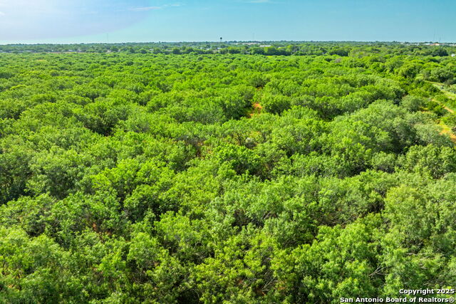 Listing photo id 4 for 3911 County Road 1000