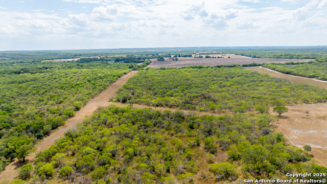 Listing photo id 30 for 000 County Road 332