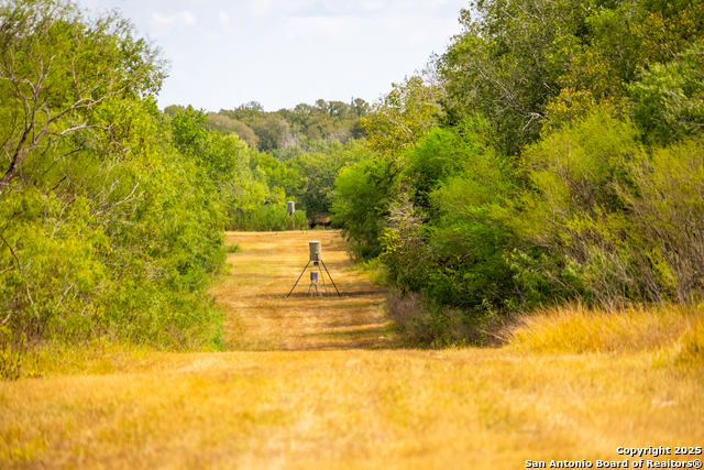 Listing photo id 31 for 000 County Road 332