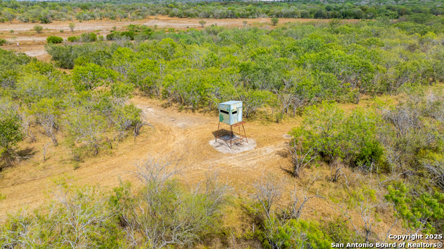 Listing photo id 32 for 000 County Road 332