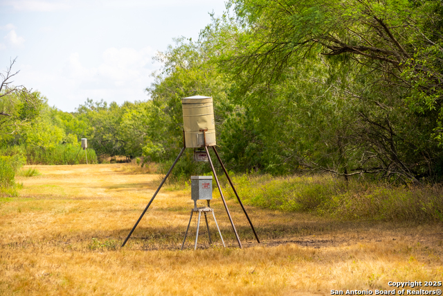 Listing photo id 33 for 000 County Road 332