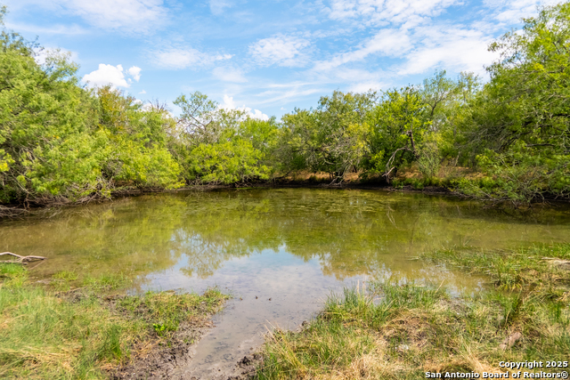 Listing photo id 34 for 000 County Road 332