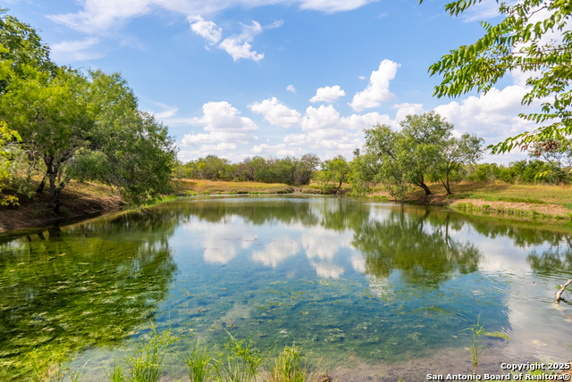 Listing photo id 35 for 000 County Road 332