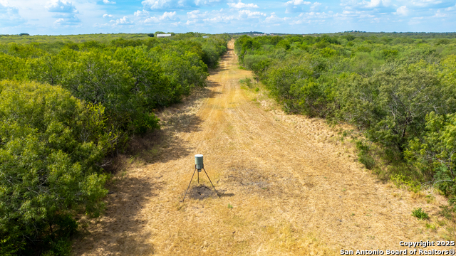 Listing photo id 37 for 000 County Road 332