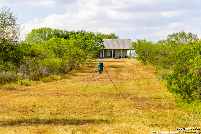 Listing photo id 42 for 000 County Road 332