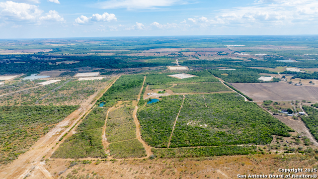 Listing photo id 3 for 000 County Road 332