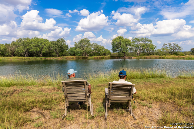 Listing photo id 4 for 000 County Road 332