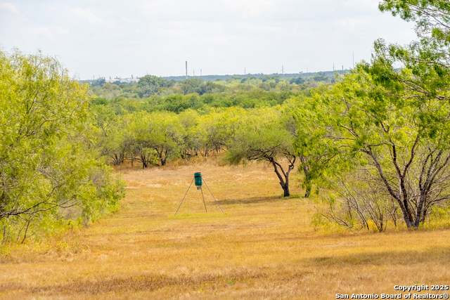 Listing photo id 5 for 000 County Road 332