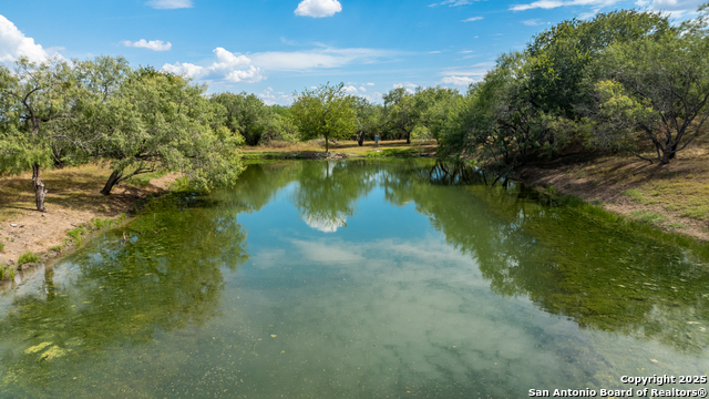 Listing photo id 6 for 000 County Road 332