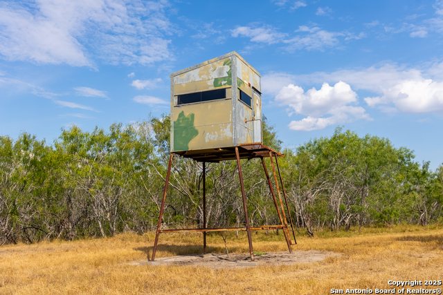 Listing photo id 7 for 000 County Road 332