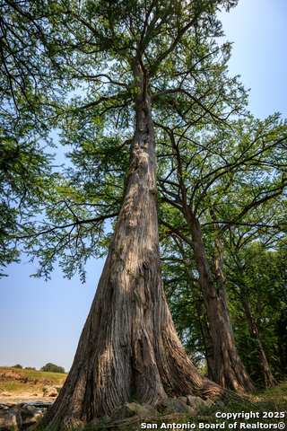 Image 10 of 10 For 000 Comfort Fields