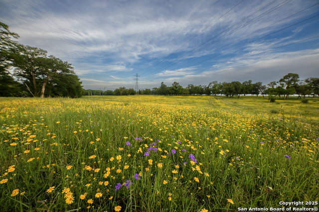 Image 5 of 10 For 000 Comfort Fields