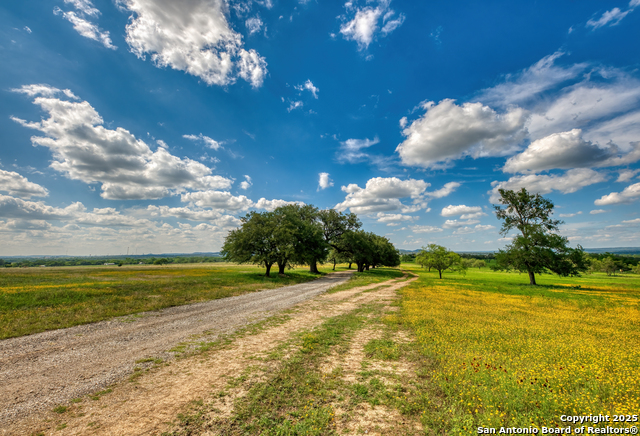 Image 6 of 10 For 000 Comfort Fields