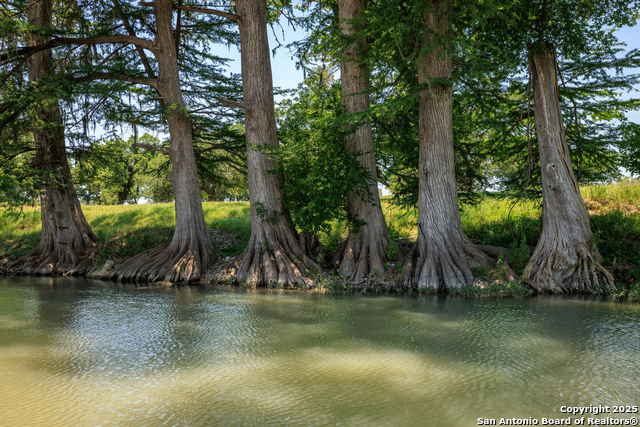 Image 9 of 10 For 000 Comfort Fields