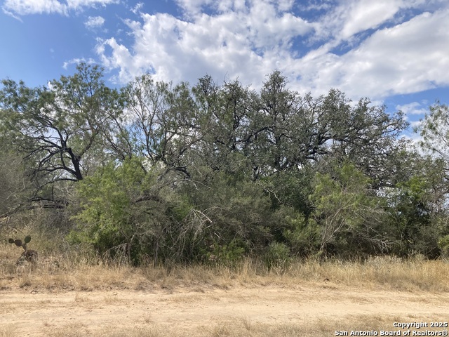 Listing photo id 13 for 000 Cr 765  