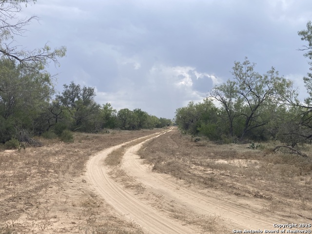 Listing photo id 15 for 000 Cr 765  