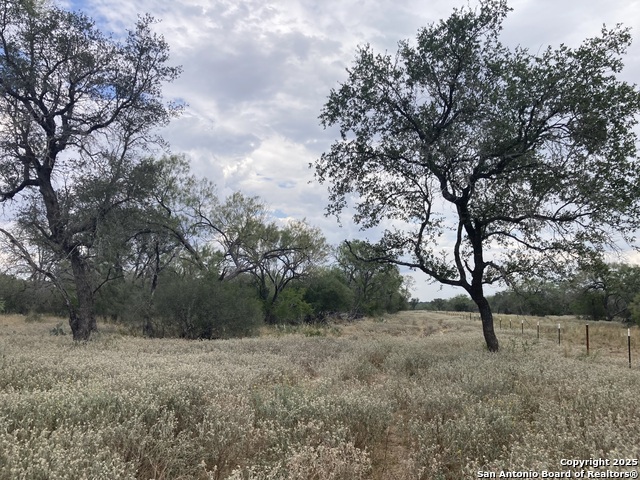 Listing photo id 19 for 000 Cr 765  