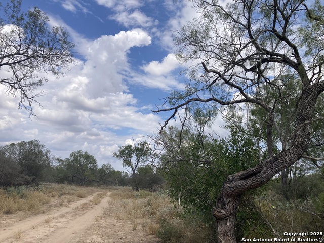 Listing photo id 20 for 000 Cr 765  