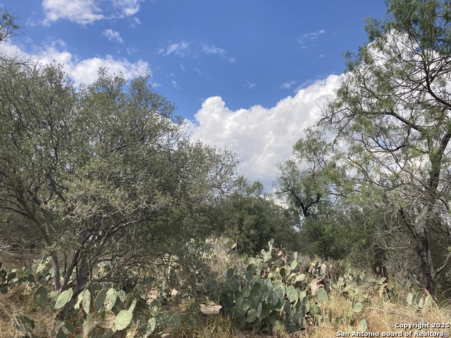 Listing photo id 21 for 000 Cr 765  