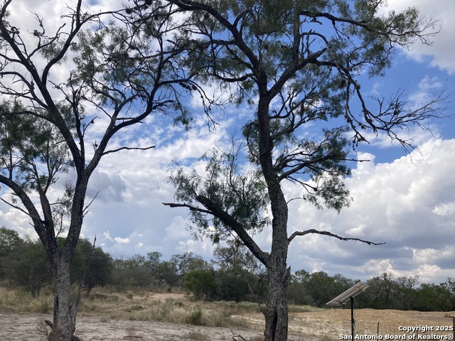 Listing photo id 26 for 000 Cr 765  