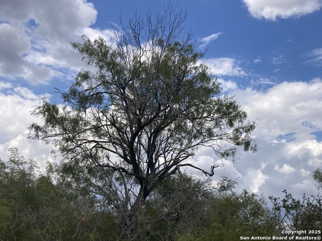 Listing photo id 30 for 000 Cr 765  