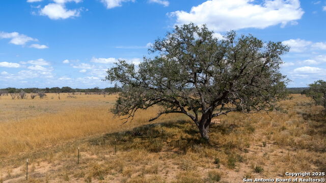 Listing photo id 6 for 000 Cr 765  