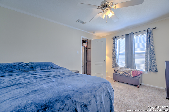 Image 10 of 17 For 7109 Loop 1604 #313 W 313