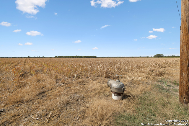 Listing photo id 23 for 3830 County Road 541