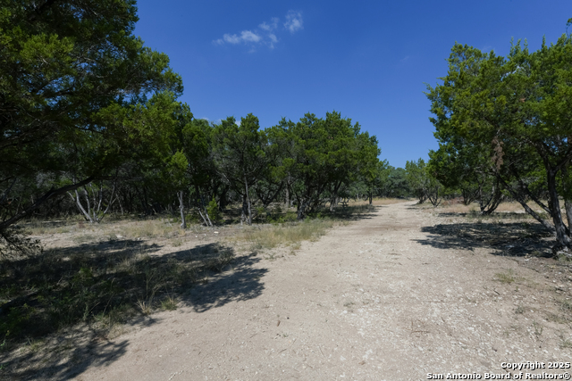 Listing photo id 8 for 26530 Fawn Mountain