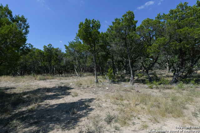 Listing photo id 9 for 26530 Fawn Mountain