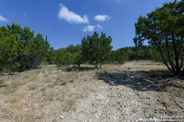 Listing photo id 10 for 26530 Fawn Mountain