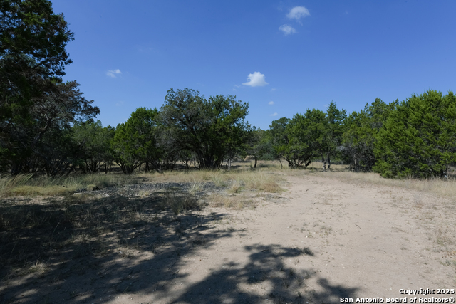 Listing photo id 16 for 26530 Fawn Mountain