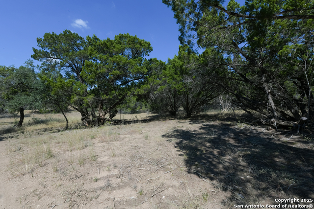 Listing photo id 17 for 26530 Fawn Mountain