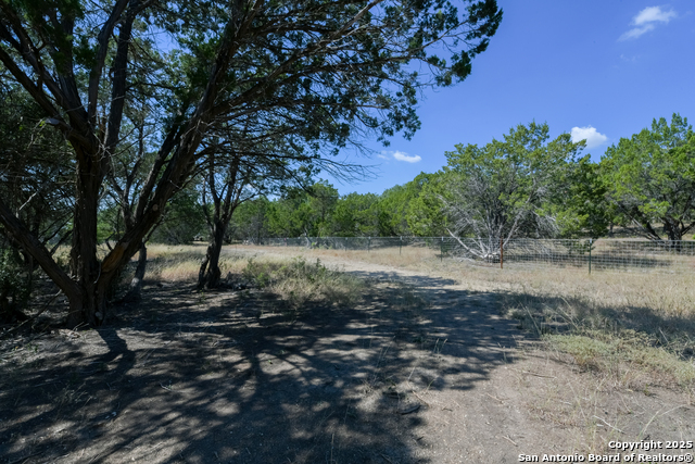 Listing photo id 18 for 26530 Fawn Mountain