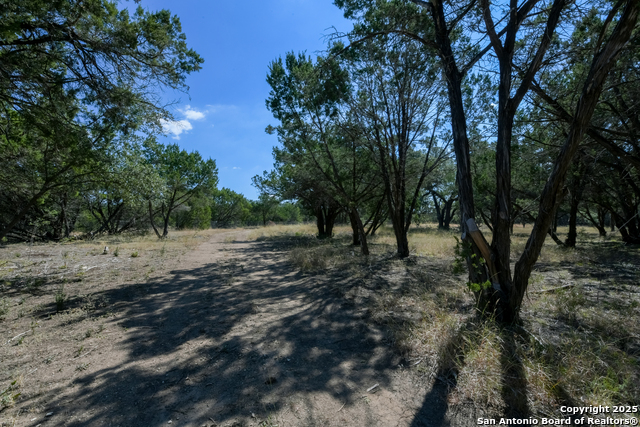 Listing photo id 19 for 26530 Fawn Mountain