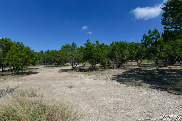 Listing photo id 5 for 26530 Fawn Mountain