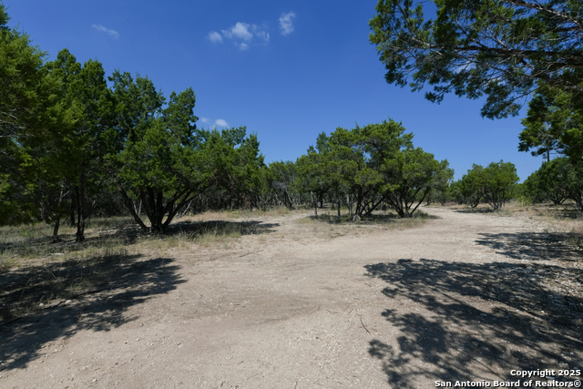 Listing photo id 6 for 26530 Fawn Mountain