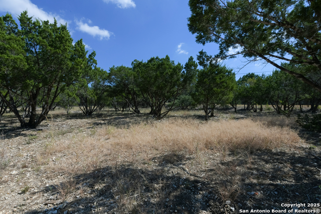 Listing photo id 7 for 26530 Fawn Mountain