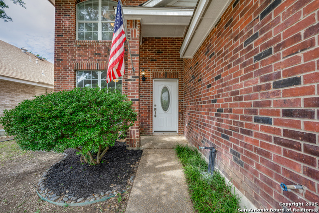 Image 3 of 24 For 14111 Red Maple Wood