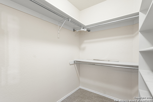 Image 10 of 21 For 7010 Palacios Cv