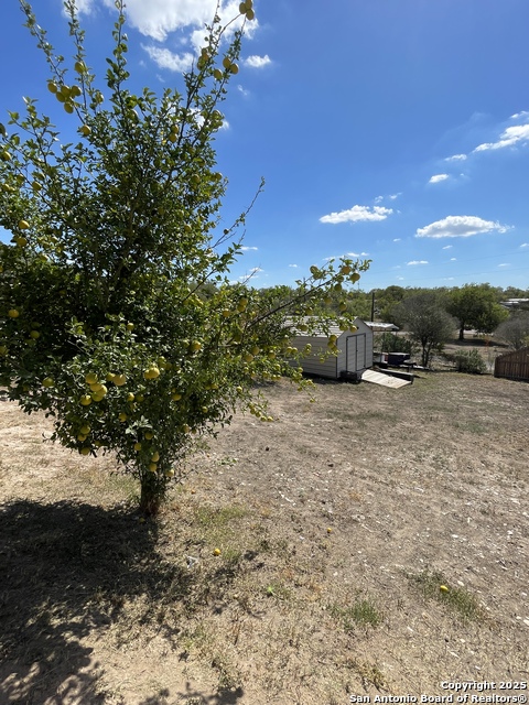 Image 10 of 28 For 538 County Road 4510